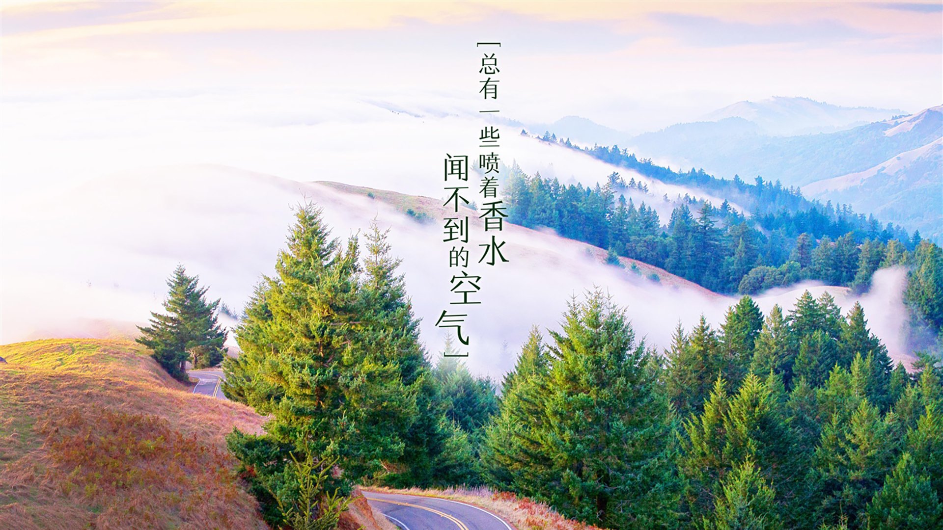 世界举重青训营康复训练教材与在线示范发布，世界举重锦标赛109公斤以上级b组决赛